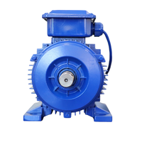 Moteur à frein électromagnétique série YEJ 11-30KW B3/B5, enroulement 100% cuivre pour palan, grue, élévateur, machine CNC, moteur industriel