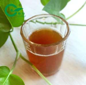 La pólvora de <span class=keywords><strong>té</strong></span> donde <span class=keywords><strong>comprar</strong></span> 1 kilo precio <span class=keywords><strong>té</strong></span> te <span class=keywords><strong>verde</strong></span> árabe mercado de Europa de importación de China de buen gusto - Product Image 2