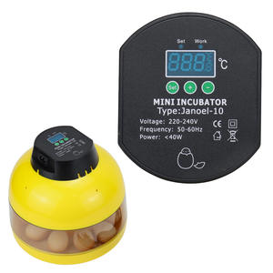 Le nouvel incubateur <span class=keywords><strong>JANOEL</strong></span> petit ménage <span class=keywords><strong>10</strong></span> incubateurs à œufs - Product Image 6