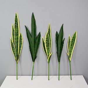 Linternas rtificales, ansevieria - Product Image 2