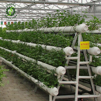 Gouttière de plantation hydroponique à effet de serre moderne pour la culture de légumes en hydroponique Cloner