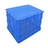 Panier à fruits et légumes de grande taille d'usine d'origine, boîtes de rangement en plastique, caisses agricoles ventilées, plateaux de rangement, panier de rangement