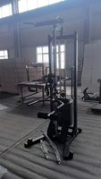 Dinuo Appareil de musculation à câble unilatéral réglable en hauteur - Machine Bird Machine à un seul poste pour l'entraînement des pectoraux, des dorsaux et du tronc