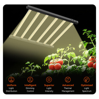 Lampe de culture LED Tritile 480W à 6 barres, spectre complet, style barre, dimmable, pour légumes, tomates, culture intérieure, hydroponie