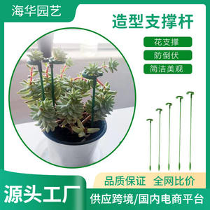 Soporte Haihua para Suculentas y Orquídeas, Soporte de Plástico para Flores con Gancho y Punta para Plantas en Maceta, Uso en Floricultura - Product Image 5