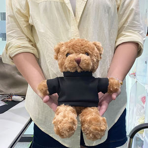 Phổ biến biểu tượng tùy chỉnh Gấu bông nhồi bông sinh viên tốt nghiệp đồ chơi sang trọng khách sạn tốt nghiệp nhà hàng đám cưới quà tặng kỷ niệm - Product Image 2