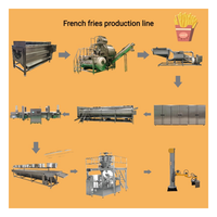 Nieuwe Franse Bevroren Kleinschalige Knapperige Gebakken Aardappelchips Maker Fruit En Plantaardige Productielijn Frituurmachine