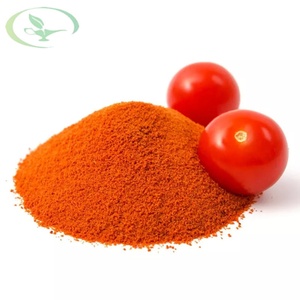Extrait de Tomate Naturel en Poudre en Gros pour OEM, Extrait Végétal de Haute Qualité, Lycopène Hydrosoluble, Certifié ISO9001, Conditionnement en Fût - Product Image 3