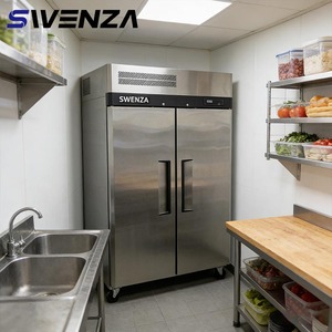 Frigorifero Verticale Commerciale SWENZA in Acciaio Inox 304 a <span class=keywords><strong>Doppia</strong></span> <span class=keywords><strong>Porta</strong></span>, Raffreddamento Diretto, Temperatura Singola - Product Image 1