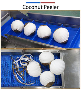 Juego de Máquinas Peladoras de <span class=keywords><strong>Coco</strong></span> Fengxiang para Plantas de <span class=keywords><strong>Coco</strong></span> en Indonesia - Product Image 2