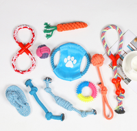 Lot de 9 jouets de luxe pour chiots, jouets à mâcher pour la dentition des petits chiens, balles en peluche mignonnes qui couinent, jouets interactifs en corde, ensemble de jeu durable pour l'entraînement dentaire