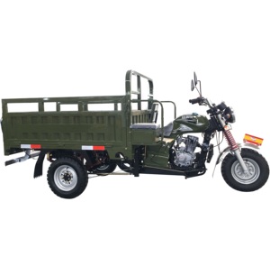 Motocicletta a 3 ruote in vendita/motore ZHUFENG motocicletta economica/triciclo per adulti alimentato a Gas - Product Image 2
