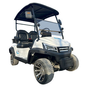 Voitures de golf électriques, véhicules <span class=keywords><strong>buggy</strong></span>, 2, 4, 6 places, voiturette de golf, acceptation de la personnalisation - Product Image 2