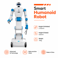 Robots Humanoïdes à Intelligence Artificielle Moteur-Réducteur PLC Roulement pour Manutention et Automatisation Industrielle 21DDL