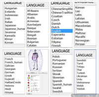 AURA Version japonaise 12D NLS Bioplasm Health Scanner Chakra Vector Analysis Meta Therapy Système d'alerte précoce pour la santé du corps