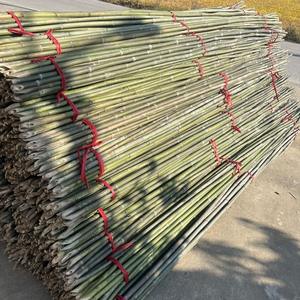 Petits piquets en bambou fins de 1,2 m pour le soutien des haricots, des concombres et des jeunes pousses de légumes dans le jardin - Product Image 1