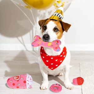 Novelty Lovely Pet Plush Toy Dog <strong>Chew</strong> Bone Donut Birthday Gift Set - Product Image 3