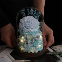 Vente en gros de boîtes de roses éternelles faites à la main, roses naturelles conservées sous cloche en verre, fête des mères, anniversaire, Saint-Valentin, Noël