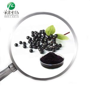 Factory supply <strong>elderberry</strong> fruit sambucus <strong>extract</strong> 5% 25% anthocyanidin powder Huakang - Product Image 2