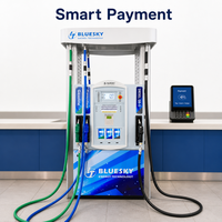 Distributeur de carburant Bluesky Chili pour stations-service - Pompe à essence antidéflagrante ATEX 5-55L/min avec compteur numérique CE FCC et logo personnalisé