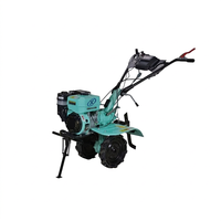 Motoculteur thermique 7 CV à essence, mini-motoculteur, cultivateur, moteur 170, machine à herboriser rotative manuelle pour serre et petits terrains