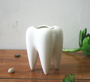 Portalápices Creativo en Forma <span class=keywords><strong>de</strong></span> <span class=keywords><strong>Diente</strong></span>, Soporte para Cepillo <span class=keywords><strong>de</strong></span> Dientes, <span class=keywords><strong>Maceta</strong></span> <span class=keywords><strong>de</strong></span> Cerámica Blanca para Bonsái, <span class=keywords><strong>Maceta</strong></span> para Suculentas, Regalo para Dentistas - Product Image 2