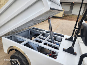 Shininglsv OEM 2 places Cargo Box Chariots de golf Boîte électrique Chariot de golf avec lit plat - Product Image 3