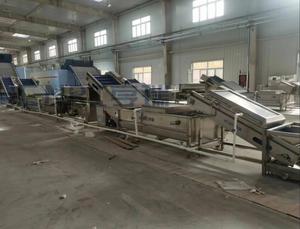 Venda quente Industrial Vegetal Frutas Bolha Lavagem Máquina De Limpeza