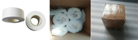 Separator Baterai Celgard 2400 Monolayer Polypropylene PP untuk Bahan Baku Baterai