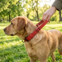 Collier pour chien en cuir à marque privée avec poignée de transport |   Laisse tactique pour animaux de compagnie en cuir de vachette personnalisée OEM/ODM |   Choix de Fournisseur Professionnel