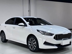 Voitures d'occasion à essence K3 automatiques 2021 à faible prix avec personnalisation intérieure, véhicule longue portée, taux de réachat 33% - Product Image 3