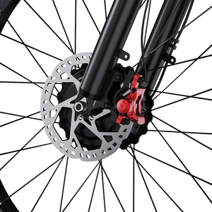 Almacén DE LA UE Envío Directo Venta caliente todo terreno bicicleta de montaña campo traviesa Duotts S26 - Product Image 5