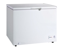 Congélateur de poitrine, livraison gratuite, XF302/280L/10 Cu.Ft, robuste, pour porte