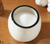 Tarro de Cerámica Creativo para Condimentos, Resistente al Calor, Apto para Microondas, Estilo Moderno Minimalista, Recipiente para Condimentos de Cocina, Tarro para Sal, Aceite de Chile, Especias