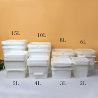 Ember Plastik Putih Food Grade Aman untuk Cat, Popcorn, dll. Ukuran Kecil Besar 2L 5L 10L 20L 25L 5 Galon dengan Tutup dan Pegangan, Harga Murah