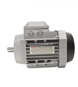 Brand New Original <strong>ZAGA</strong> Motor YE3-80M3-4 - Product Image 2