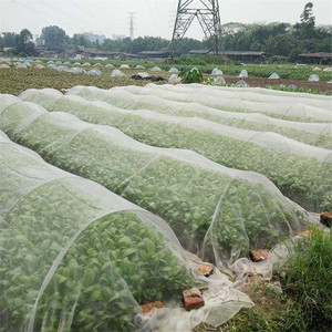 Anti Insect Netting HDPE Agricultural Virgin White Green <strong>Color</strong> <strong>Mesh</strong> Nets Anti-Insect Proof Net For Agro Vegetable Greenhouse - Product Image 6