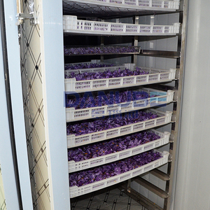 Quality Certification Saffron Dryer Equipment Saffron Dehydrator Processing Machinery Flowers Drying Room - Product Image 1