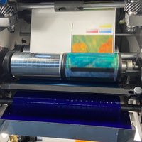 Machine d'impression flexographique à grande vitesse pour la production d'autocollants et d'étiquettes-Système de polymérisation UV automatique