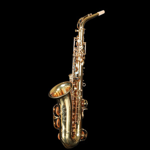 Saxophone alto en mi bémol de qualité professionnelle, haut de gamme, en laiton, avec caractéristiques personnalisables et clé F haute - Product Image 2
