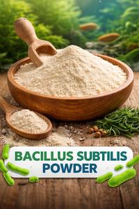 Poudre de Probiotiques à Base de Souches de Bacillus Subtilis, Emballage de 25 kg/sac, Durée de Conservation de 18 Mois - Product Image 3