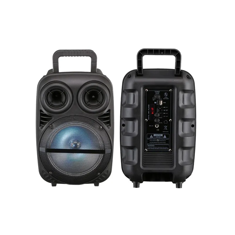10W Party Box 8 Zoll Tieftöner Trolley Lautsprecher mit LED Light Show DJ Lautsprecher tragbare Bluetooth