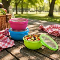 Bol de service personnalisé en acier inoxydable avec logo, design classique, bol à salade transparent pour la conservation des aliments lors de fêtes, en métal, pas cher
