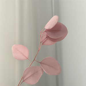 Feuilles d'<span class=keywords><strong>eucalyptus</strong></span> séchées et blanchies naturellement, branches d'<span class=keywords><strong>eucalyptus</strong></span> séchées et préservées au toucher réel, <span class=keywords><strong>guirlande</strong></span> d'<span class=keywords><strong>eucalyptus</strong></span> verte - Product Image 3