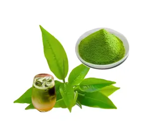 Polvo de té verde Matcha puro con fecha más nueva, polvo de té Matcha japonés orgánico, polvo Macha ceremonial