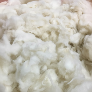 100% coton Comber Noil pour filatures Matériel de coton brut-Ms. Claire - Product Image 1