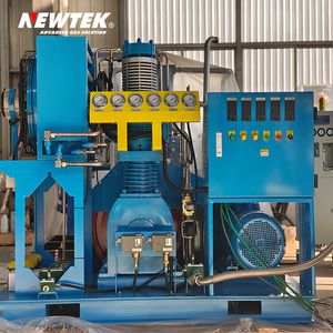 Il generatore di ossigeno 93% PSA di NEWTEK 15nm/hr fornisce servizi gratuiti di installazione in loco per l'estrazione dell'oro e la lavorazione dei minerali - Product Image 6