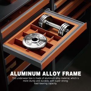 TIANYI Pull Out Aluminum Alloy Bedroom Underwear Storage <b>Box</b> Silent <b>Wardrobe</b> Accessory with Cover - Product Image 5