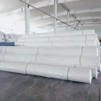 Tissu non tissé en polypropylène PP 200g pour le durcissement du béton, la filtration des bassins piscicoles, la maintenance routière, le drainage, la couche filtrante d'isolation