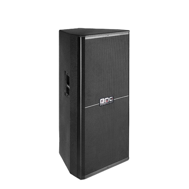 BMG ELX115 Professional Audio Equipment Dual 15 Inch Professional Speaker Empty Box